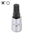 Биты впресованные в головку